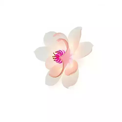 Floral Blossom D Model Pack Low-poly 3D model