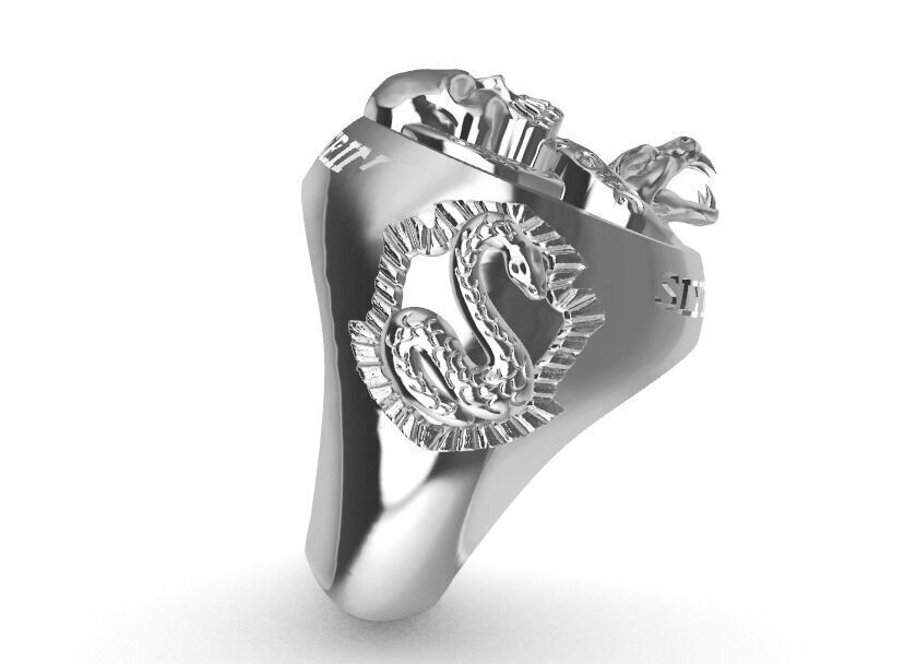 Anel Sonserina 3D print model_1