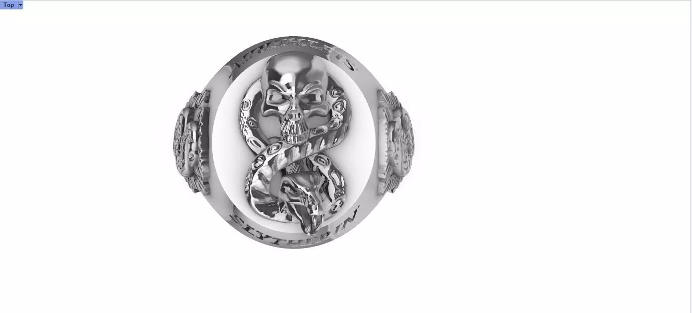 Anel Sonserina 3D print model_0