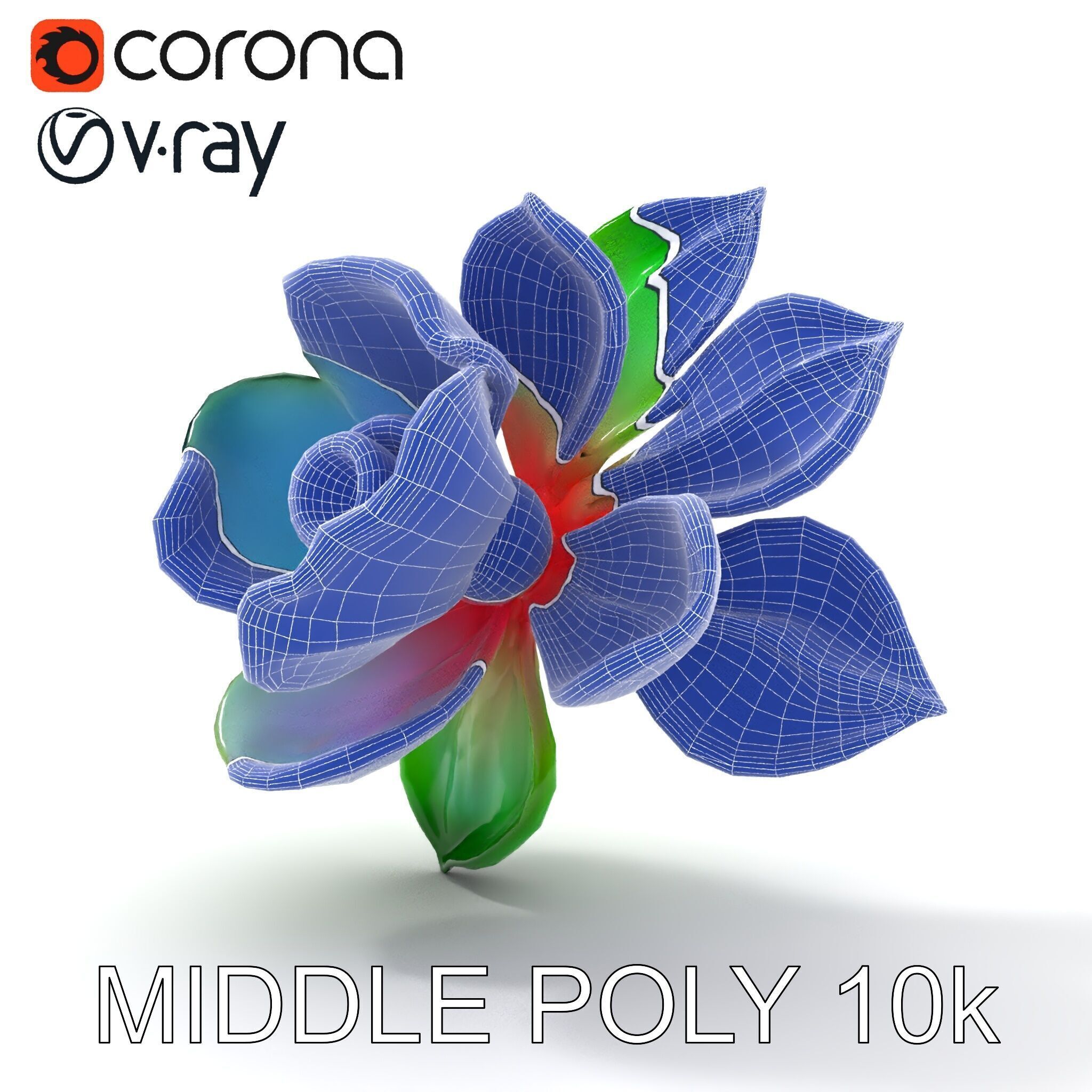 Colorful Bloom Flower Model Pack for D Rendering Low-poly 3D model_12