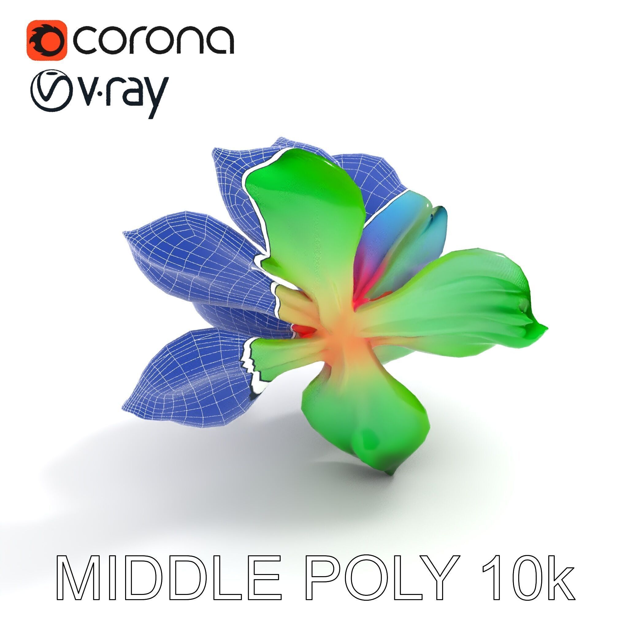 Colorful Bloom Flower Model Pack for D Rendering Low-poly 3D model_17