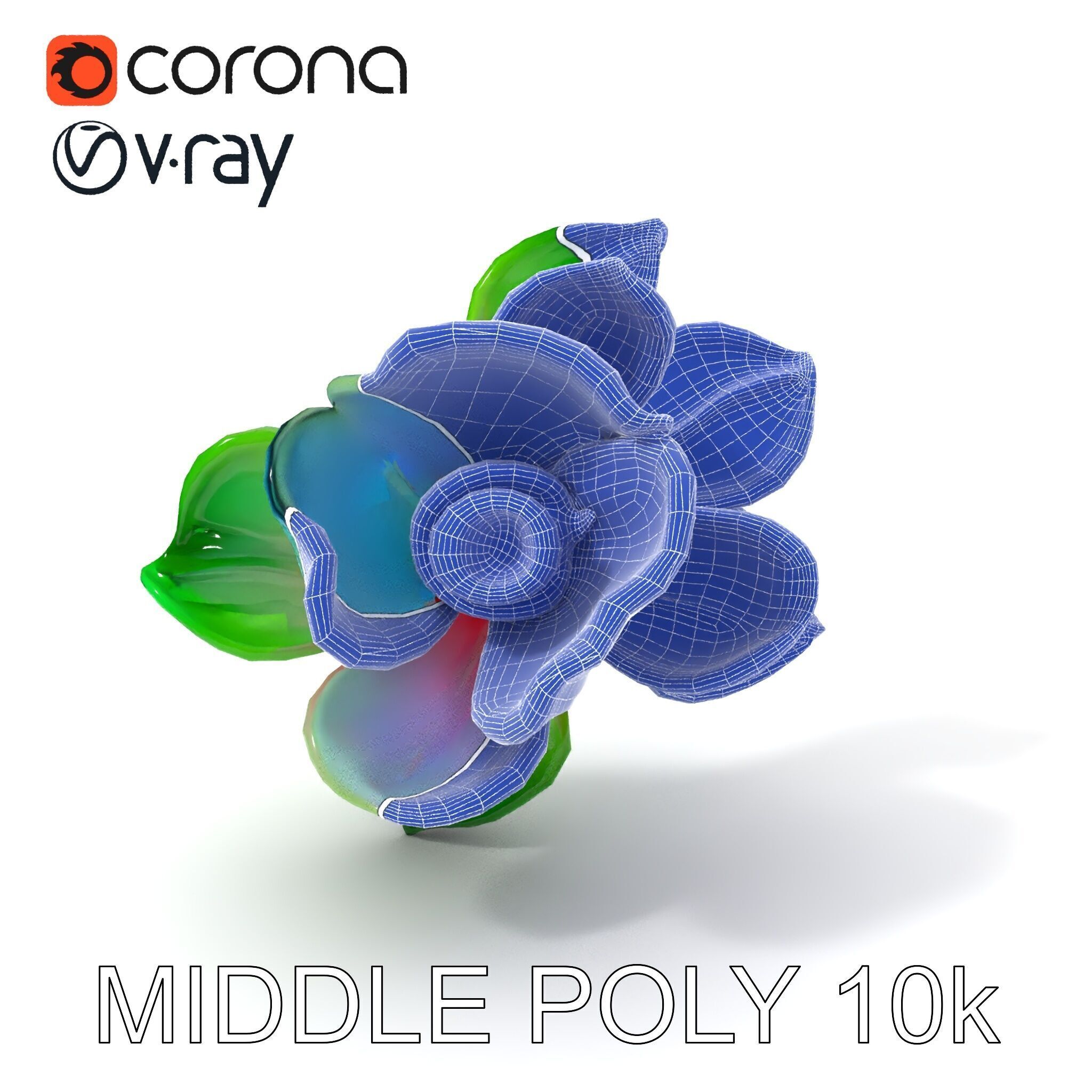 Colorful Bloom Flower Model Pack for D Rendering Low-poly 3D model_19