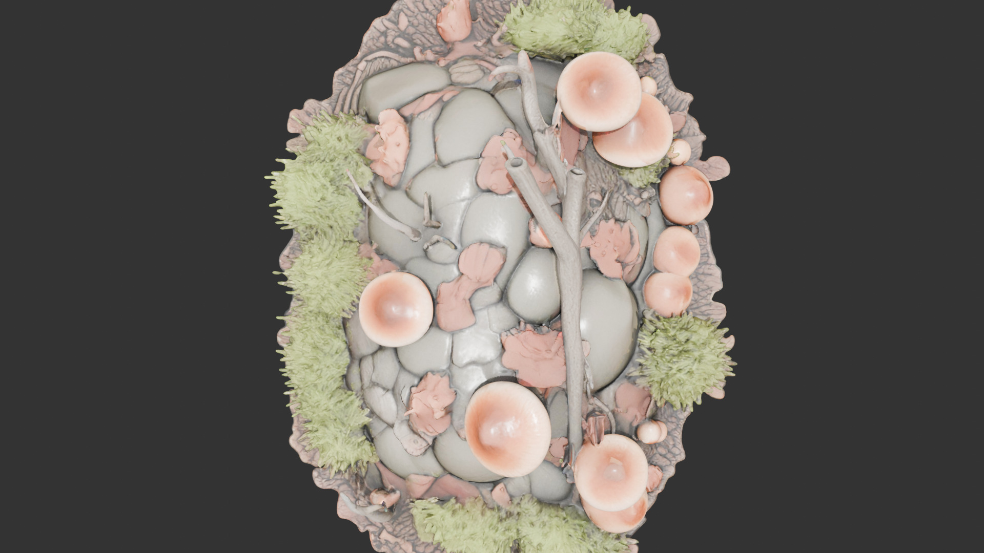 Forest Floor Debris with Mushrooms V2 Low-poly 3D model_10