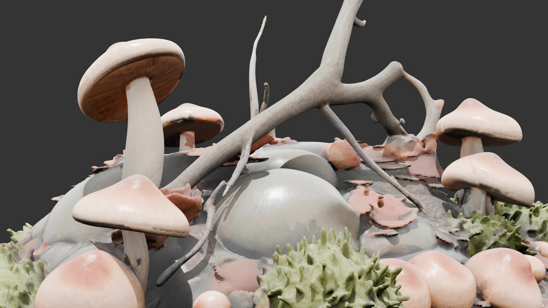 Forest Floor Debris with Mushrooms V2 Low-poly 3D model_2