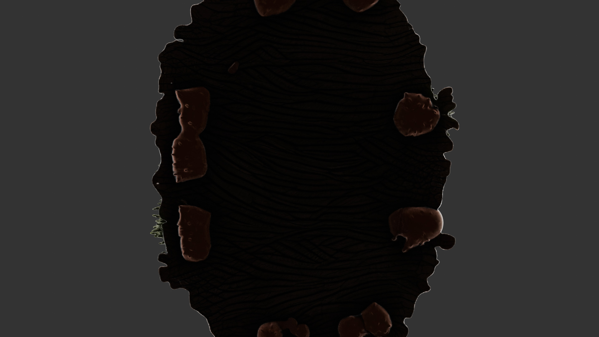 Forest Floor Debris with Mushrooms V2 Low-poly 3D model_9