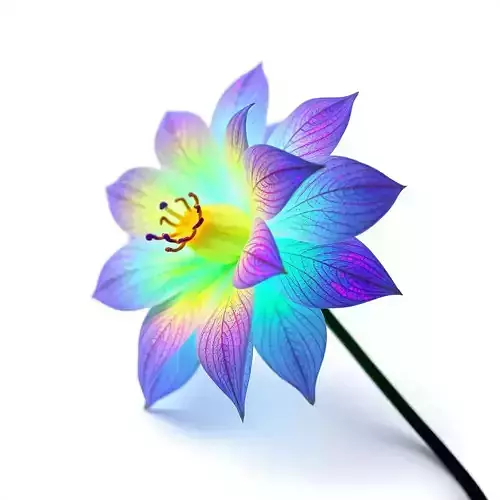 Vibrant Rainbow Flower Model Pack for D Applications Low-poly 3D model