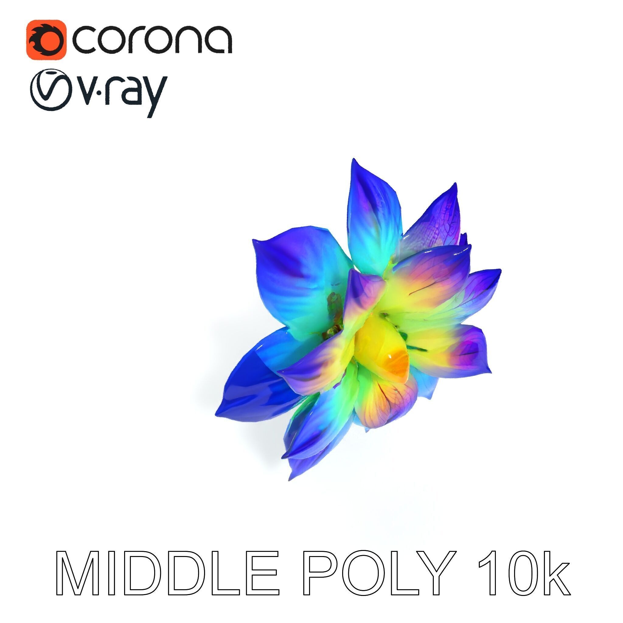 Vibrant Rainbow Flower Model Pack for D Applications Low-poly 3D model_31