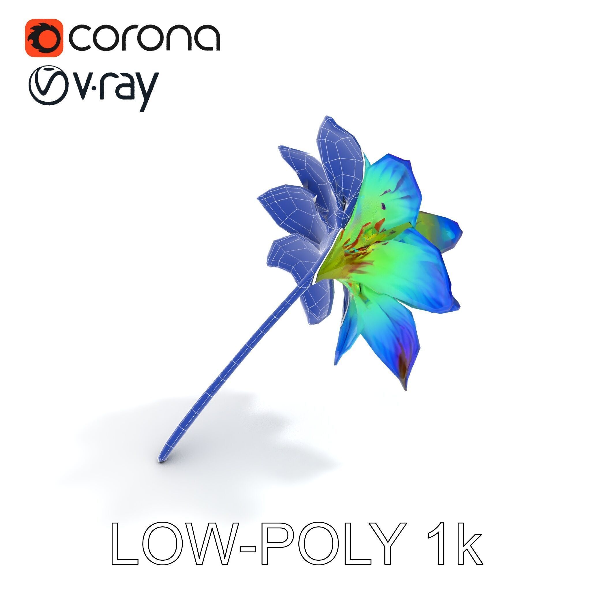 Vibrant Rainbow Flower Model Pack for D Applications Low-poly 3D model_21