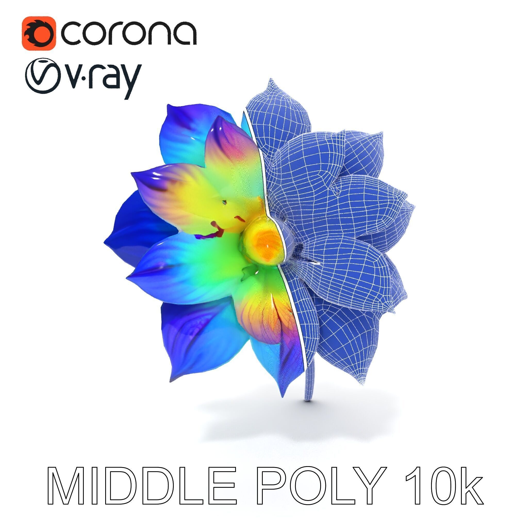 Vibrant Rainbow Flower Model Pack for D Applications Low-poly 3D model_33