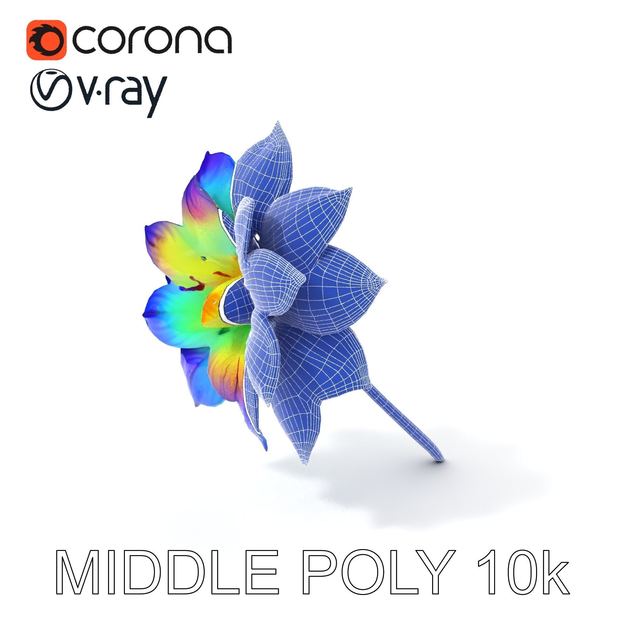 Vibrant Rainbow Flower Model Pack for D Applications Low-poly 3D model_6