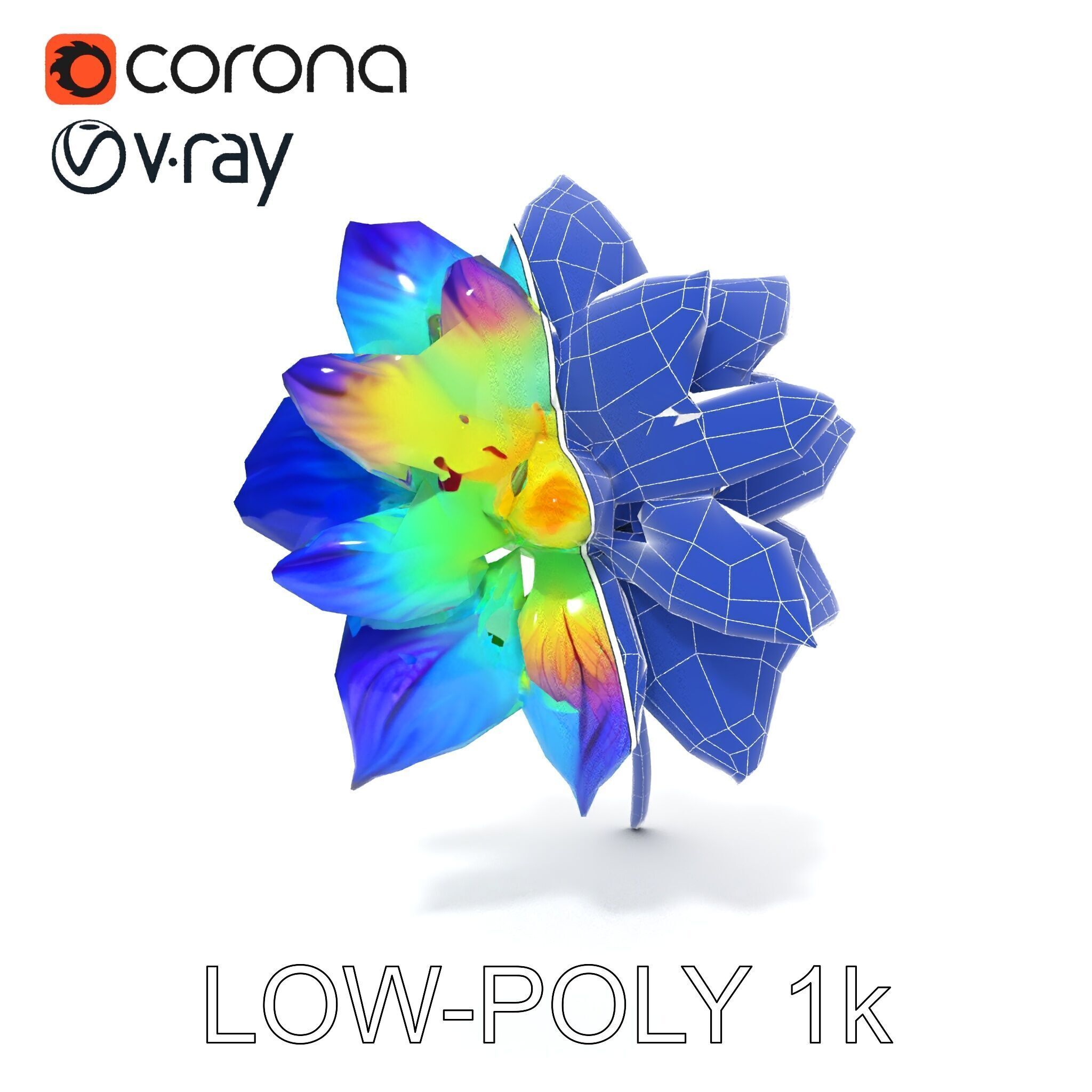 Vibrant Rainbow Flower Model Pack for D Applications Low-poly 3D model_24