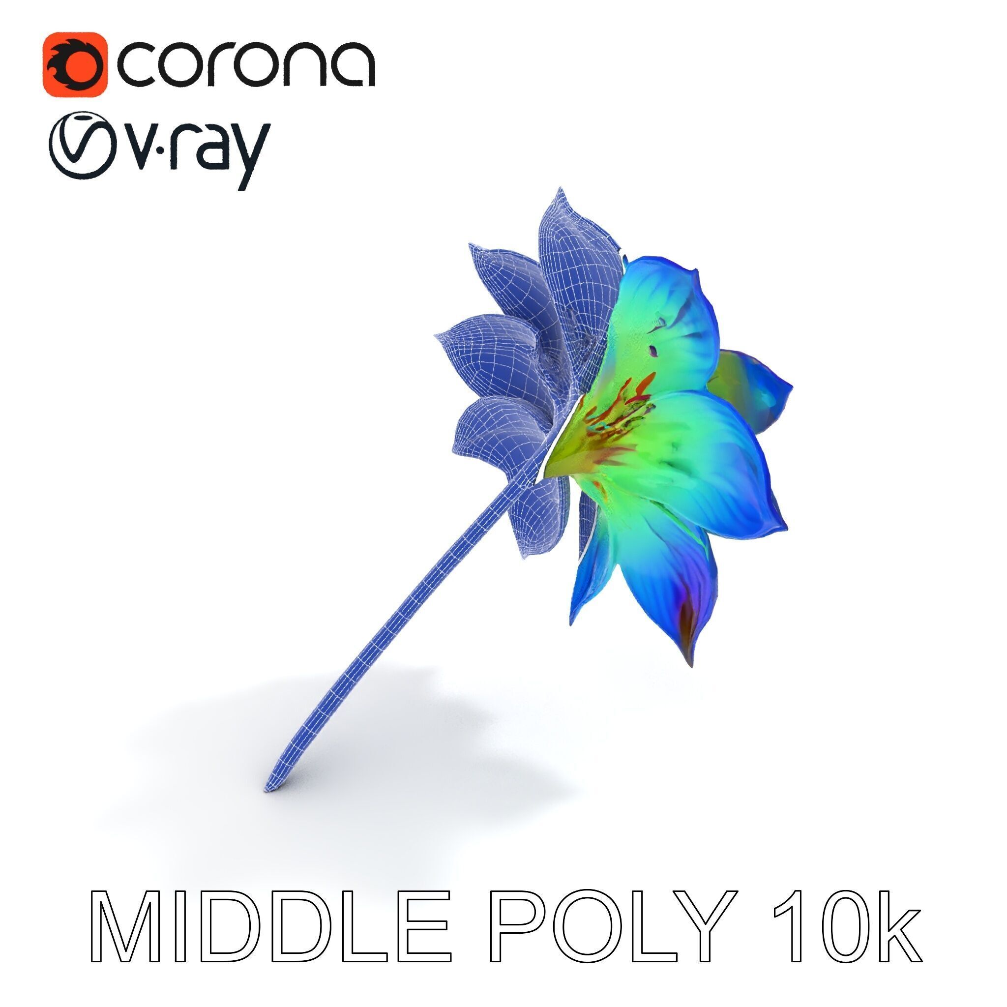 Vibrant Rainbow Flower Model Pack for D Applications Low-poly 3D model_23