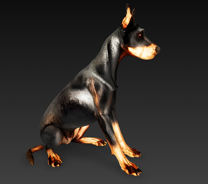 Doberman 3D Model Basic - Low Poly 3D model_2
