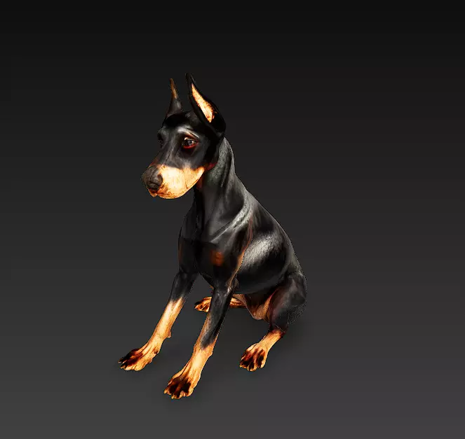 Doberman 3D Model Basic - Low Poly 3D model_0