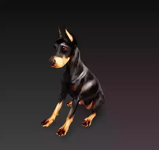 Doberman 3D Model Basic - Low Poly