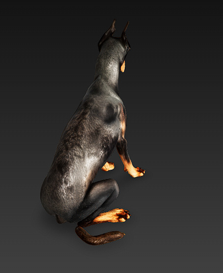 Doberman 3D Model Basic - Low Poly 3D model_3