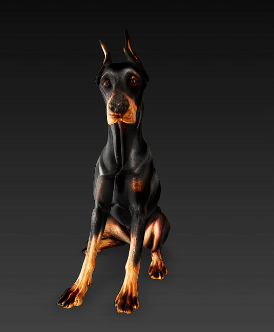 Doberman 3D Model Basic - Low Poly 3D model_1