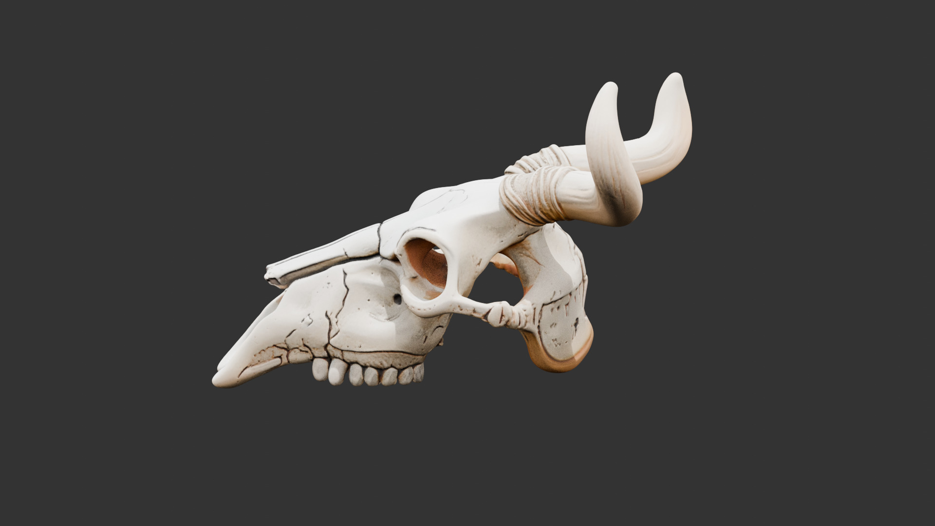 Animal Skull on Desert Ground Low-poly 3D model_5