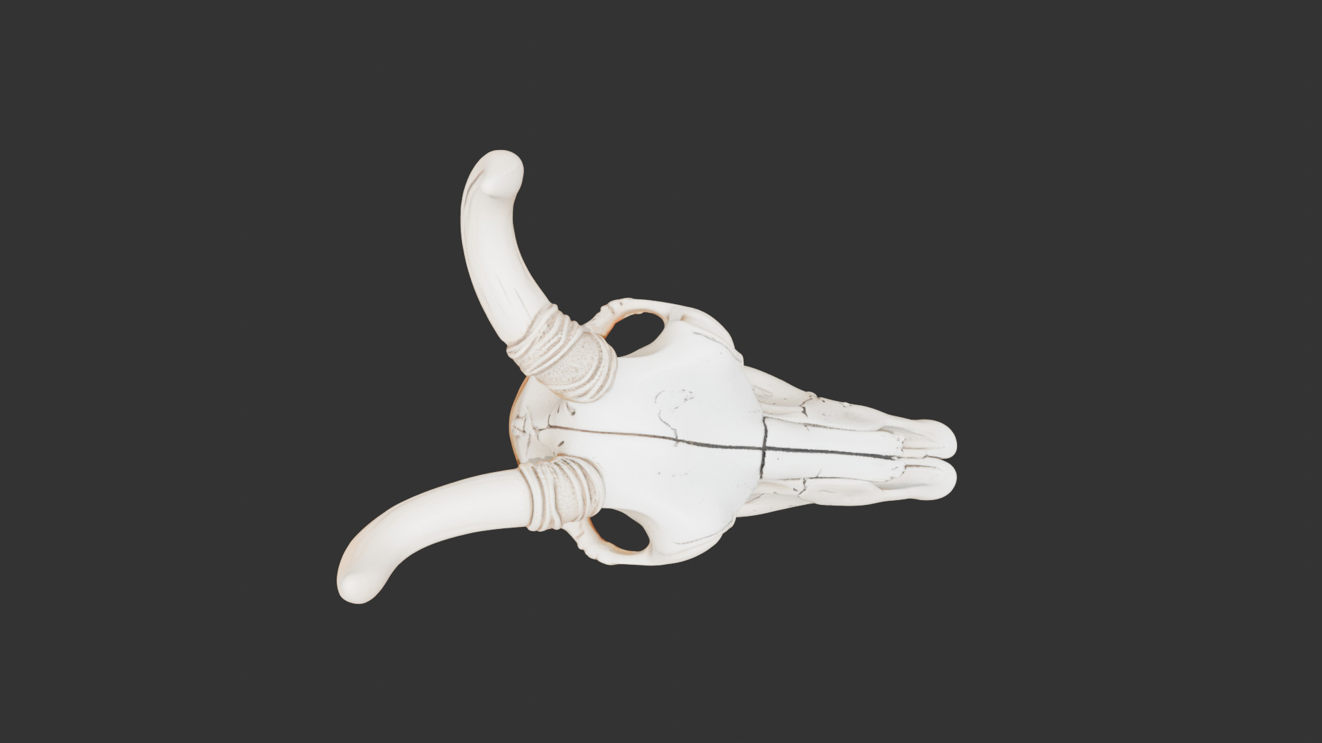 Animal Skull on Desert Ground Low-poly 3D model_10
