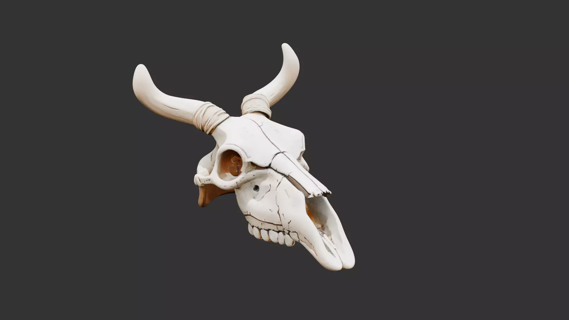 Animal Skull on Desert Ground Low-poly 3D model_0