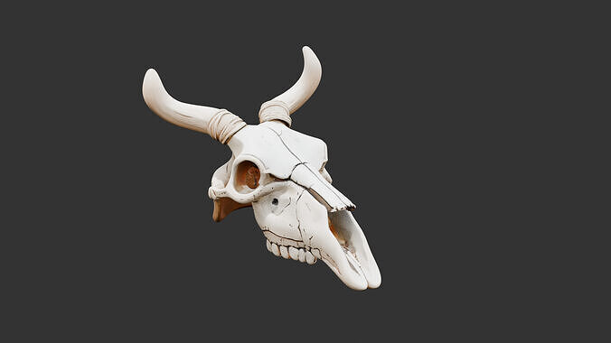Animal Skull on Desert Ground Low-poly 3D model
