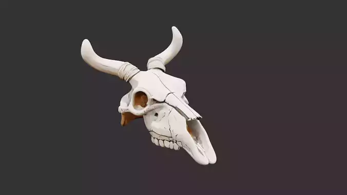 Animal Skull on Desert Ground Low-poly 3D model