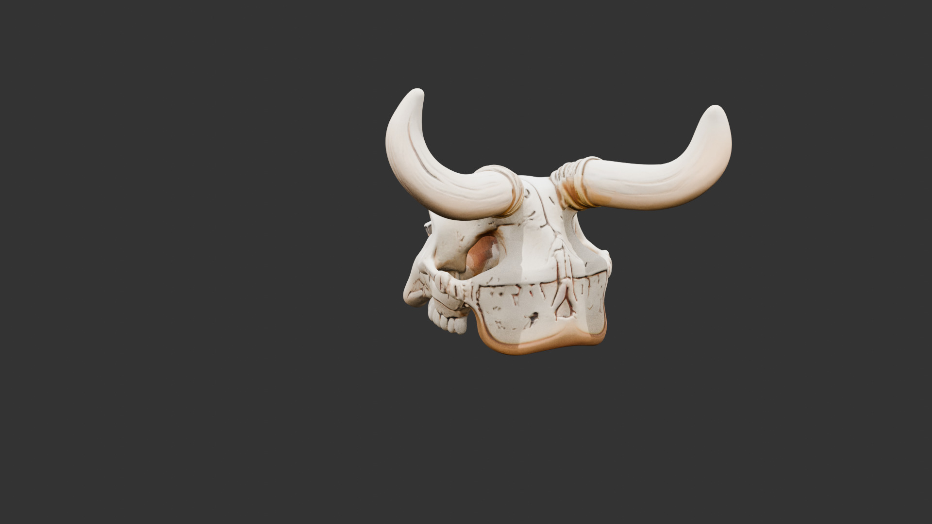 Animal Skull on Desert Ground Low-poly 3D model_4