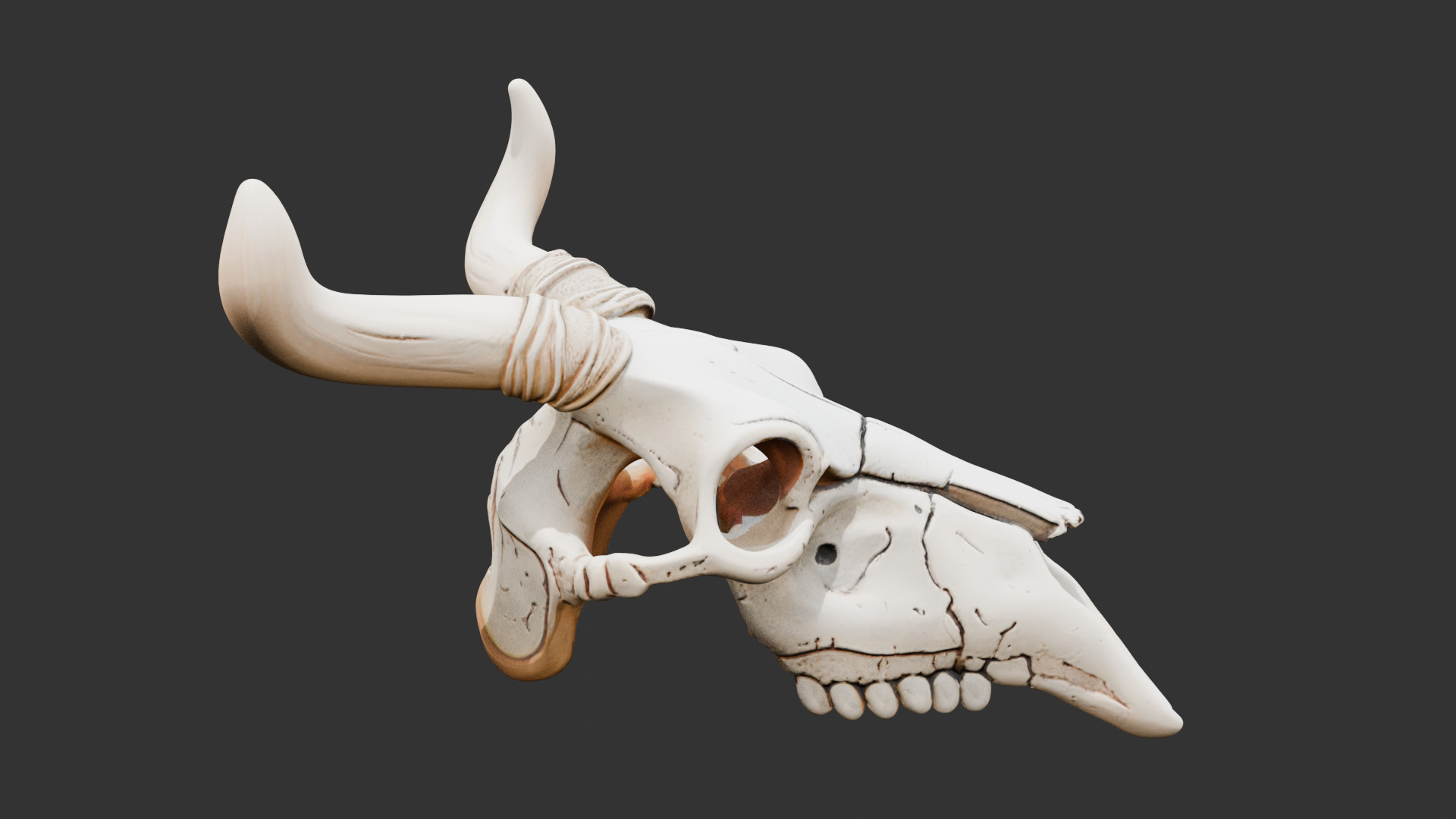 Animal Skull on Desert Ground Low-poly 3D model_1