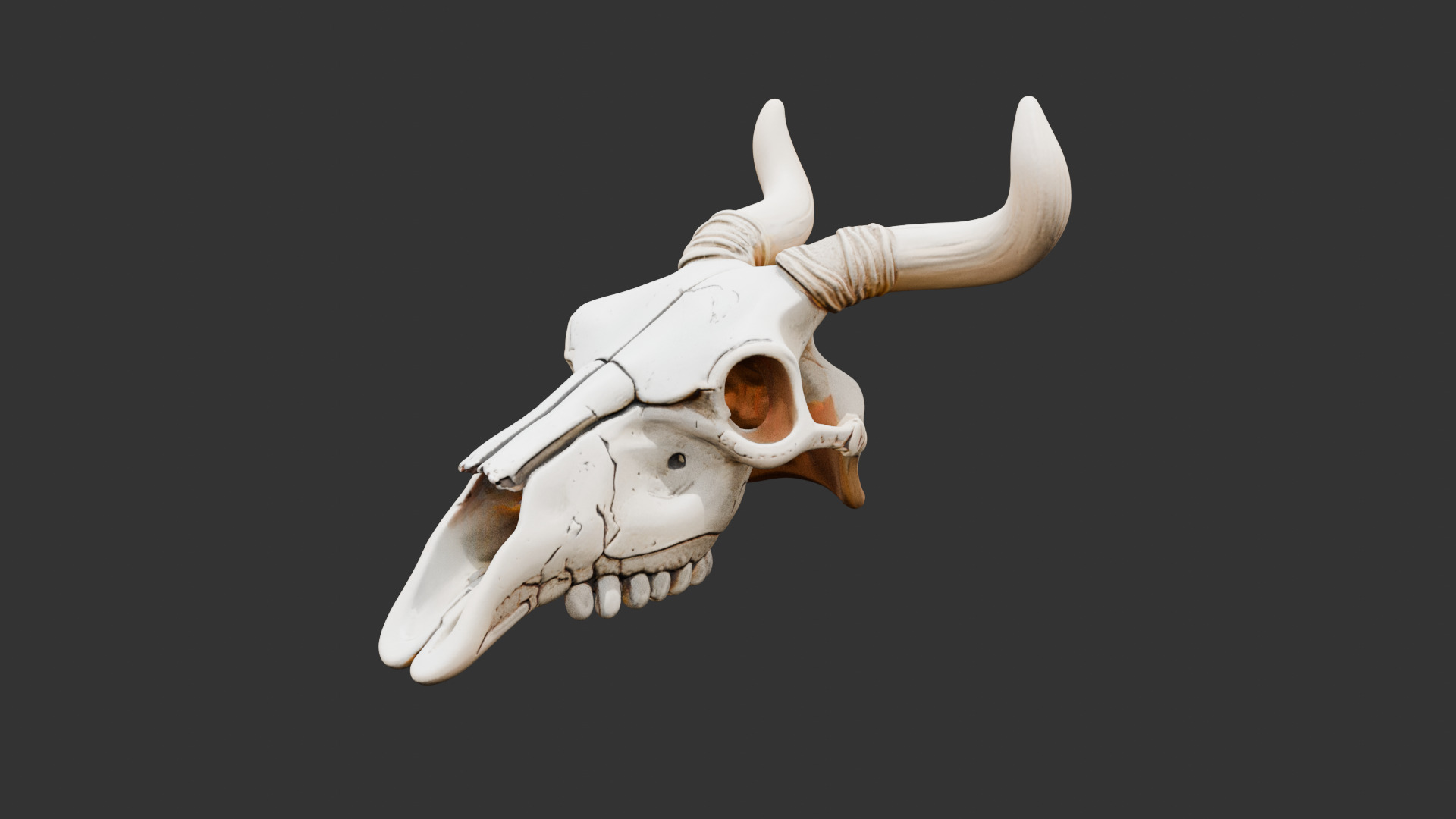 Animal Skull on Desert Ground Low-poly 3D model_6