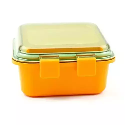Food Container Model Pack with Snap Lid Design