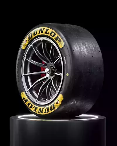 Dunlop LeMans24 310 710 R18 Rear 3D model