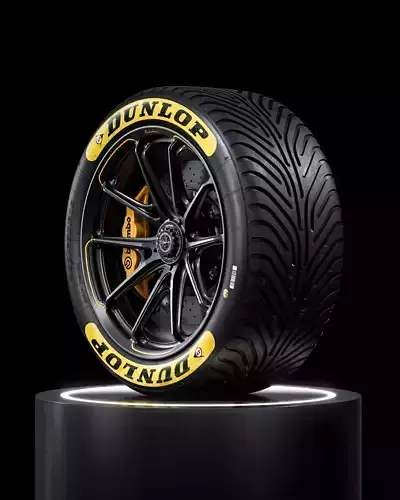 Dunlop Lemans24 280 680 R18 WET 3D model