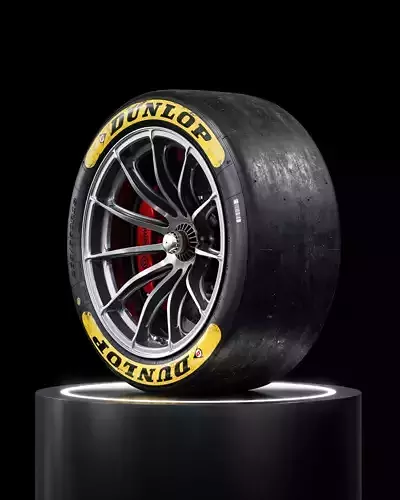 Dunlop LeMans24 265 660 R18 Front 3D model