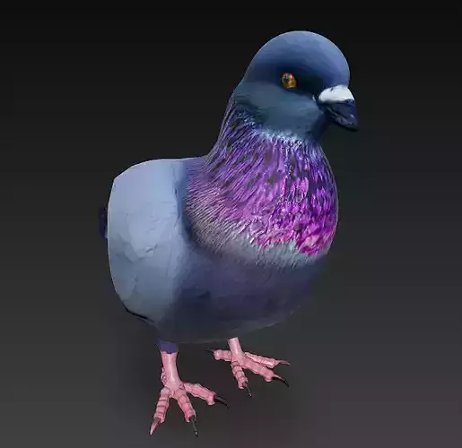 Pigeon 3D Model Basic - Low Poly Simple Low-poly 3D model