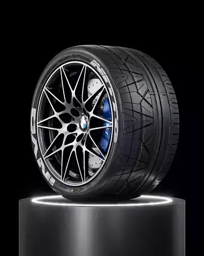 Nitto Invo 305 30 ZR19 Painted 3D model