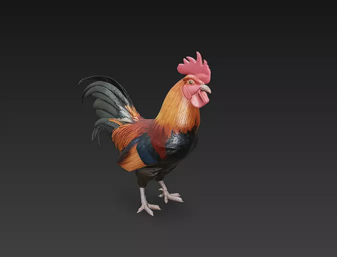 Black Rooster 3D Model Basic - Low Poly Simple Low-poly 3D model_0