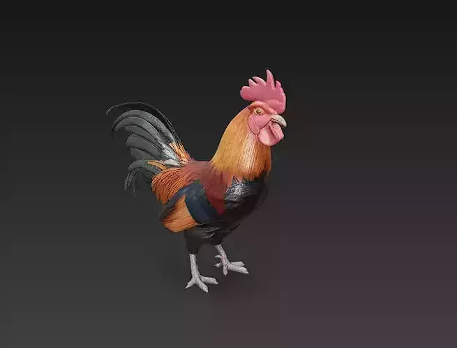 Black Rooster 3D Model Basic - Low Poly Simple