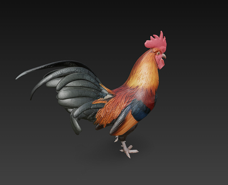 Black Rooster 3D Model Basic - Low Poly Simple Low-poly 3D model_6