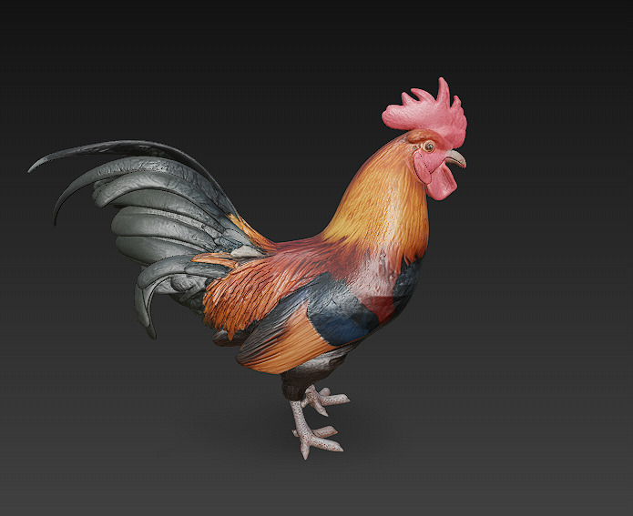 Black Rooster 3D Model Basic - Low Poly Simple Low-poly 3D model_7