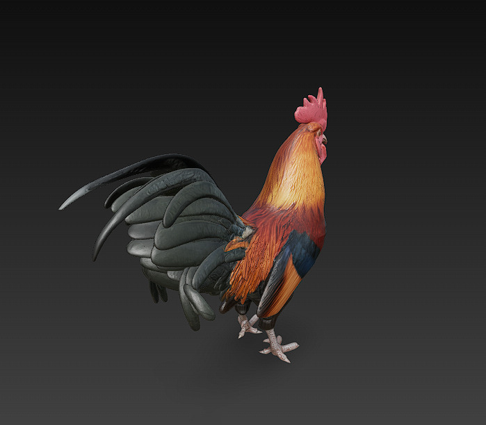 Black Rooster 3D Model Basic - Low Poly Simple Low-poly 3D model_5