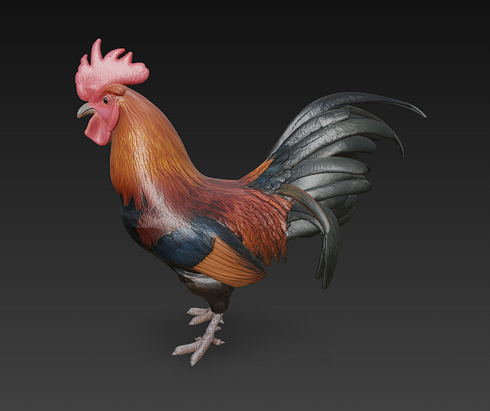 Black Rooster 3D Model Basic - Low Poly Simple Low-poly 3D model_3