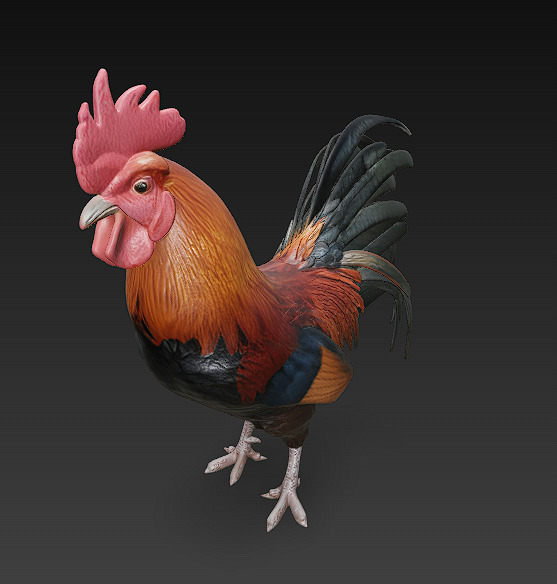 Black Rooster 3D Model Basic - Low Poly Simple Low-poly 3D model_2