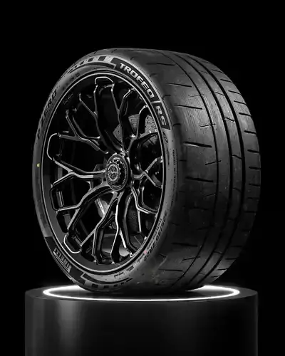 Pirelli Trofeo RS 325 30 ZR22