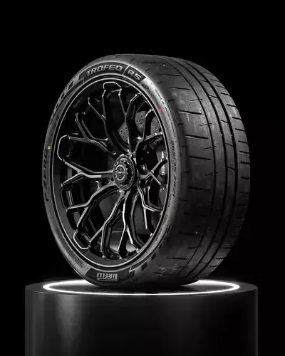 Pirelli Trofeo RS 265 35 ZR21