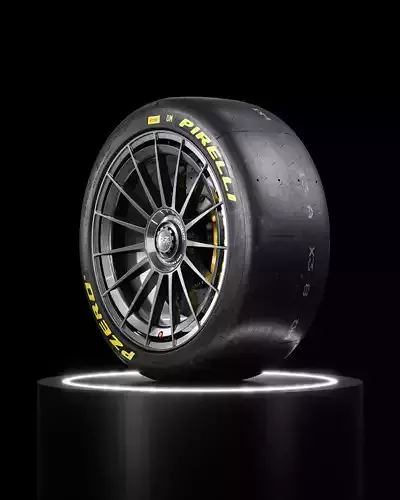 Pirelli Slick 245 620 R17 DM