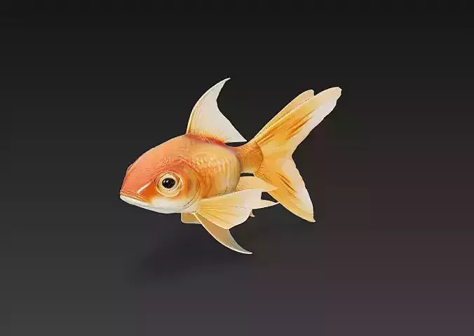 Goldfish 3D Model Basic - Low Poly Simple Low-poly 3D model