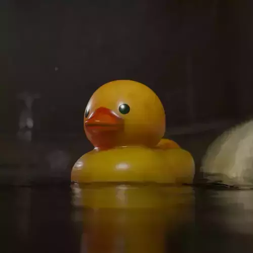 Rubber Duck  Low-poly 3D model Rubber Duck  Low-poly 3D model