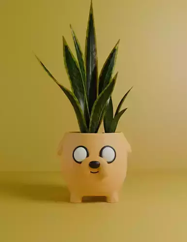 Maceta Jake Hora de Aventura 