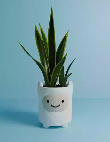 Maceta Finn el Humano- Hora de Aventura