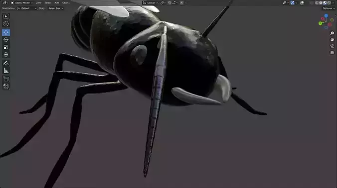 Black Ant